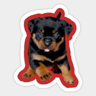 Cute Rottweiler Puppy Running With Tongue Out Sticker